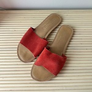 Matisse Coconut Beach Slides